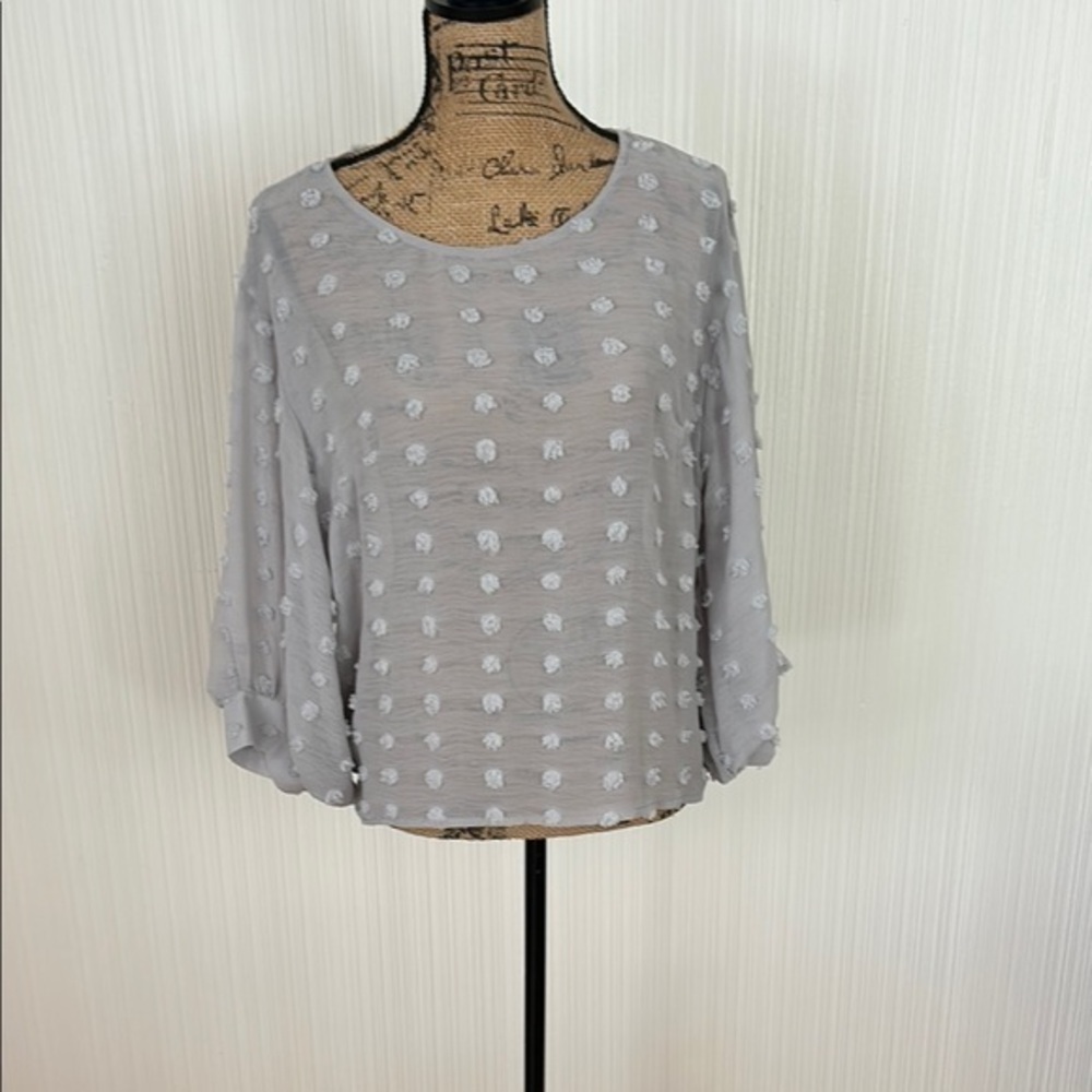 Solitaire Sheer Gray Bell Sleeve Blouse Relaxed Fit